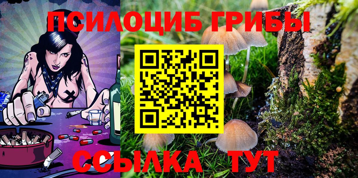 Избербаш  Галлюциногенные грибы MAGIC MUSHROOMS  Вход с VPN 